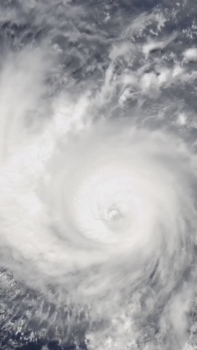 #juniorjungle #familyrave #bristol #drumandbass #kidsrave #thingstodowithkids #nickterrific #rockypatch #losthorizon