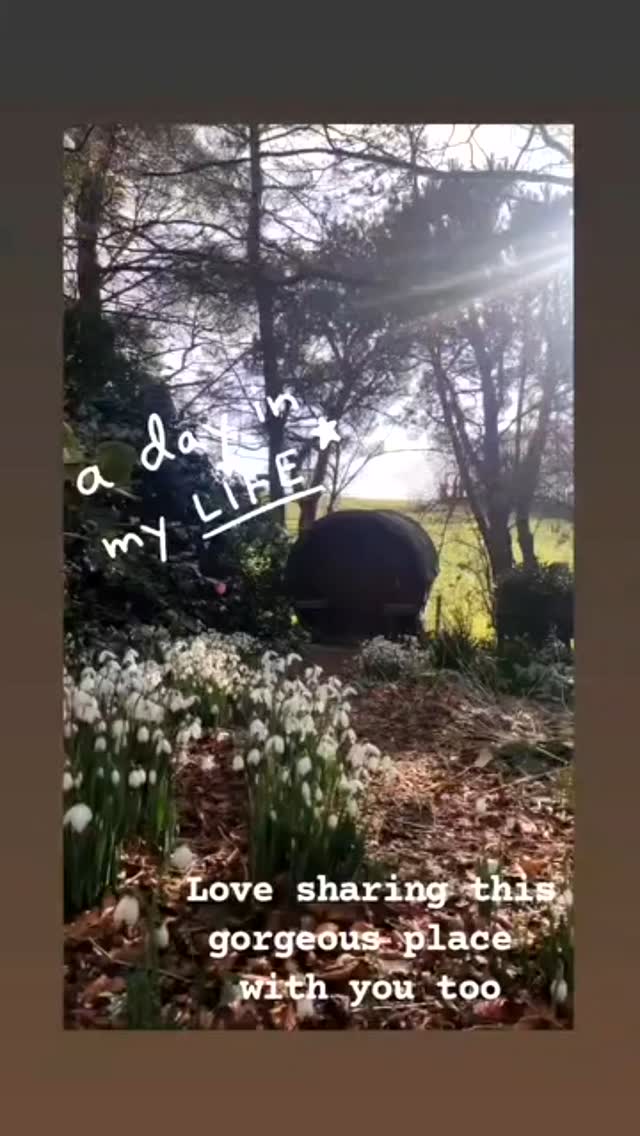 Wowzer... Last year was fun. In this time for rest, It's been great to take a look at what the garden has gifted us since last year. So grateful for the small things x