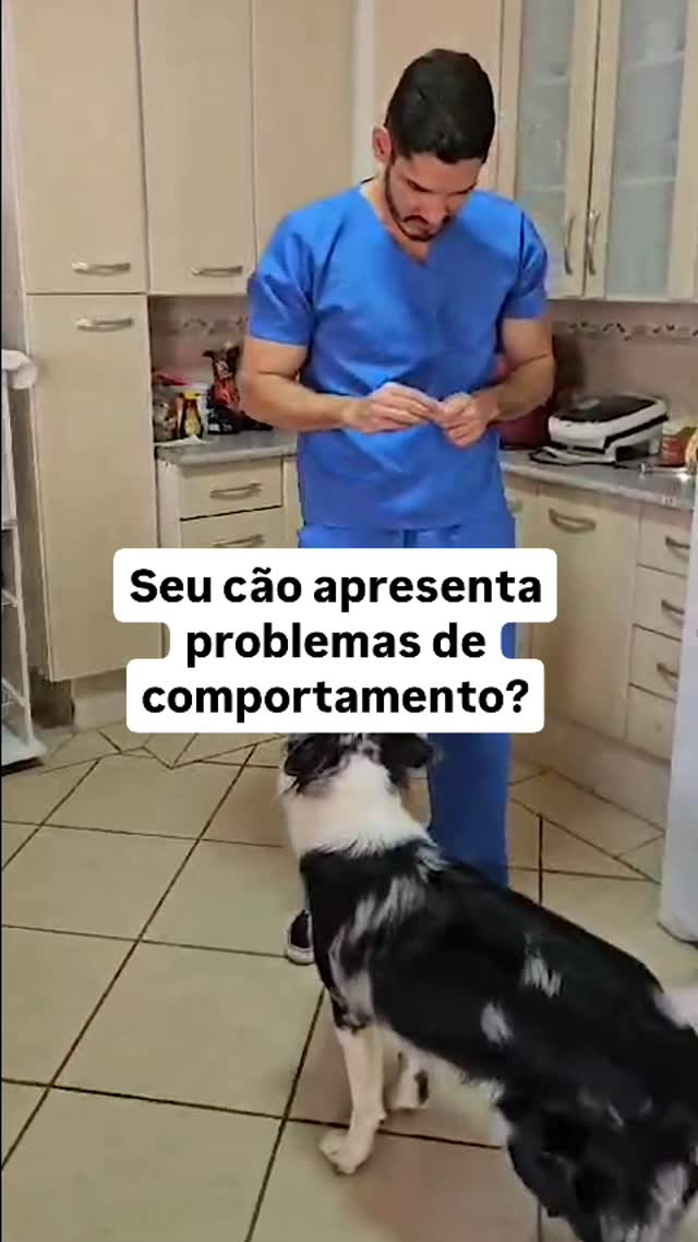 Um veterinário comportamentalista é um profissional especializado em problemas de comportamento animal. Aqui estão cinco motivos para me procurar:
1. Problemas de Ansiedade e Medo – Se seu pet apresenta sinais de ansiedade de separação, medo excessivo de barulhos (como trovões ou fogos de artifício) ou fobias em geral, um veterinário comportamentalista pode ajudar a identificar e tratar a causa do problema.
2. Agressividade – Se seu pet demonstra agressividade contra pessoas ou outros animais, um veterinário comportamentalista pode avaliar se há causas médicas, ambientais ou emocionais por trás desse comportamento e indicar a melhor abordagem para correção.
3. Comportamentos Destrutivos – Roer móveis, cavar compulsivamente, destruir objetos ou apresentar outros comportamentos destrutivos podem ser sinais de estresse, tédio ou problemas emocionais. O veterinário comportamentalista pode sugerir soluções para corrigir essas atitudes.
4. Dificuldade de Socialização – Alguns animais têm dificuldades em interagir com humanos ou outros animais. Esse especialista pode ajudar a adaptar e treinar o pet para se sentir mais confortável em diferentes situações sociais.
5. Problemas de Eliminação Inadequada – Se seu pet começou a urinar ou defecar fora do lugar certo sem uma causa médica aparente, o veterinário comportamentalista pode identificar possíveis gatilhos emocionais e sugerir um plano de correção.
Se você perceber qualquer um desses sinais no seu pet, me mande uma mensagem no número do link da bio ✅️🐶
