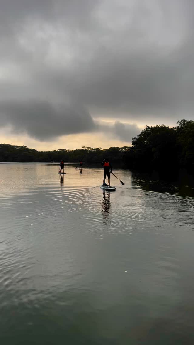 Ushering in the Year of the Snake with smooth strokes and serene waters 🐍🌊✨ Shedding the old, gliding into new adventures under the lunar sky. Happy Lunar New Year! 🎇🏄♀️ #YearOfTheSnake #SUPflow #NewBeginnings
