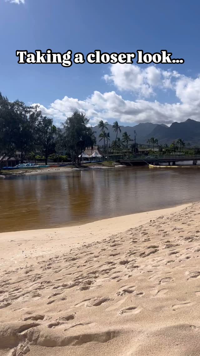 šTaking a closer look!
Things arenāt always as they seem. As you can see once we look through the polarized lens, we see a lot darker water and more of those brown water areas in the water. Even though some areas look clean that brown doodoo water is mixing in with everything else. So yes the clearer water may be slightly cleaner but does not mean itās clean and bacteria free. Know before you go! Not only surf conditions but also bacteria levels.
#watersafety #beachsafety #oceansafety #brownwater #brownwateradvisoryhawaii #kailua #kailuabeach #kailuabeachpark #hawaiitourism #hawaiibeaches #safety #safekeiki #safekids #hawaiitravels #oahu #kailuatown