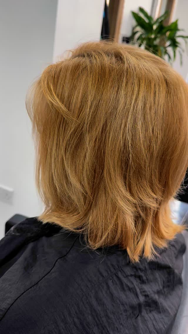 Colour correction for this lovely lady 😍
First appointment stage 1 - Full head low lights, toner, cut and blow, to blend in the natural root colour and add some depth
Cut and colour by Cara
#caragibbshairdressing #m33 #colourcorrection #quifhair #magicolour