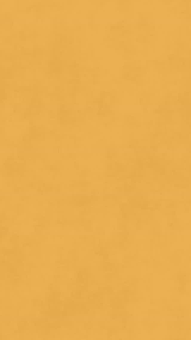 Over the weekend we said farewell to our OG music therapy assistant, Shruthi! Shruthi is off to Melbourne to pursue her Master of Music Therapy and we are so excited for her! 🎉
Shruthi you have been an absolute gem on our team for the last 3 years. You have been so open to learning and have taken such amazing care in your work. I know that myself, the team, your participants, and their families are all so grateful for your time spent with us.
I can say I am so so proud of you! You’ve overcome every single challenge and I hope you never forget. Thank you for introducing me to Yo-Chi 😆 It’s been a joy to guide you and I can’t wait to see where this next chapter takes you!