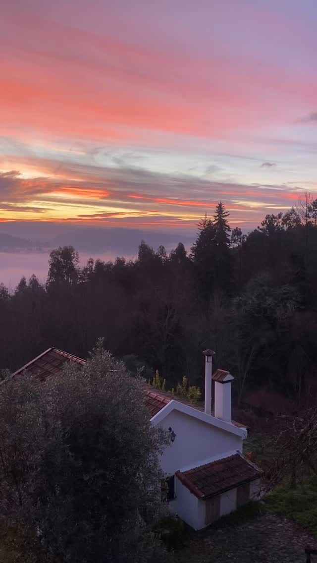 This sunrise 😍 Too beautiful not to share!
•
#glamping #glampingportugal #sunnywinter #retreatcenter #summerholiday #sãopedrodosul #sunrise #vakantieinportugal #lemontreehouse #guesthouse