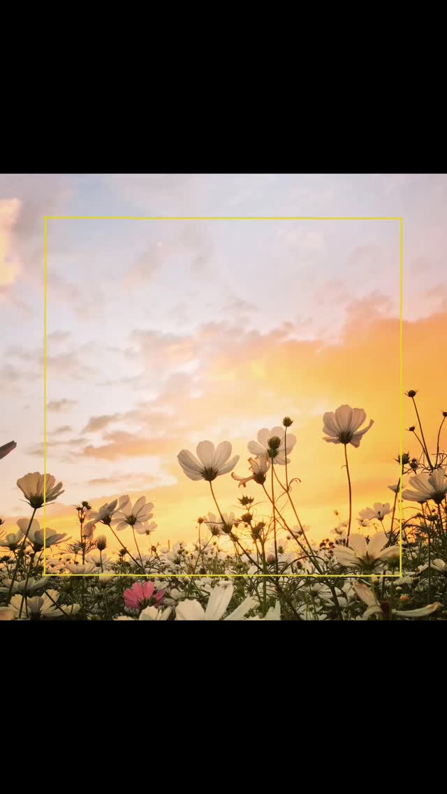 🌸 V R O E G E V O O R J A A R S V O O R D E E L 🌸 @ Mille Fleurs Apartments
Soon spring will come. We all feel like going out: walking shoes on, bike out of the shed. Perfect time to get to know the Voer-region in all its facets.
ENJOY A 10% DISCOUNT ON OUR UNIQUE APARTMENTS IN THE BELGIAN VOERS REGION IN MARCH AND APRIL
👉 For more information, visit www.millefleurs.be
Nog even en dan breekt de lente weer aan. We krijgen allemaal weer zin om er op uit te trekken, wandelschoenen aan, de fiets uit de schuur.
Perfecte tijd om de Voerstreek in al zijn facetten te verkennen.
GENIET IN MAART EN APRIL VAN 10% KORTING OP ONZE UNIEKE APPARTEMENTEN IN DE BELGISCHE VOERSTREEK
👉 Kijk voor meer info op www.millefleurs.be
#springpromo #springishere #whataview #beautifullandscape #naturelover #natuur #voeren #limburg #voerstreek #wandelen #hiking #millefleurs #appartementhuren #vakantiehuis #vacation #rent #apartment #rentapartment #vlaanderenvakantieland #ilovelimburg #vakantieineigenland #sintpietersvoeren #altijdlimburg #belgium #visitlimburg #wanderlust #bronnenwandeling #wandelparadijs