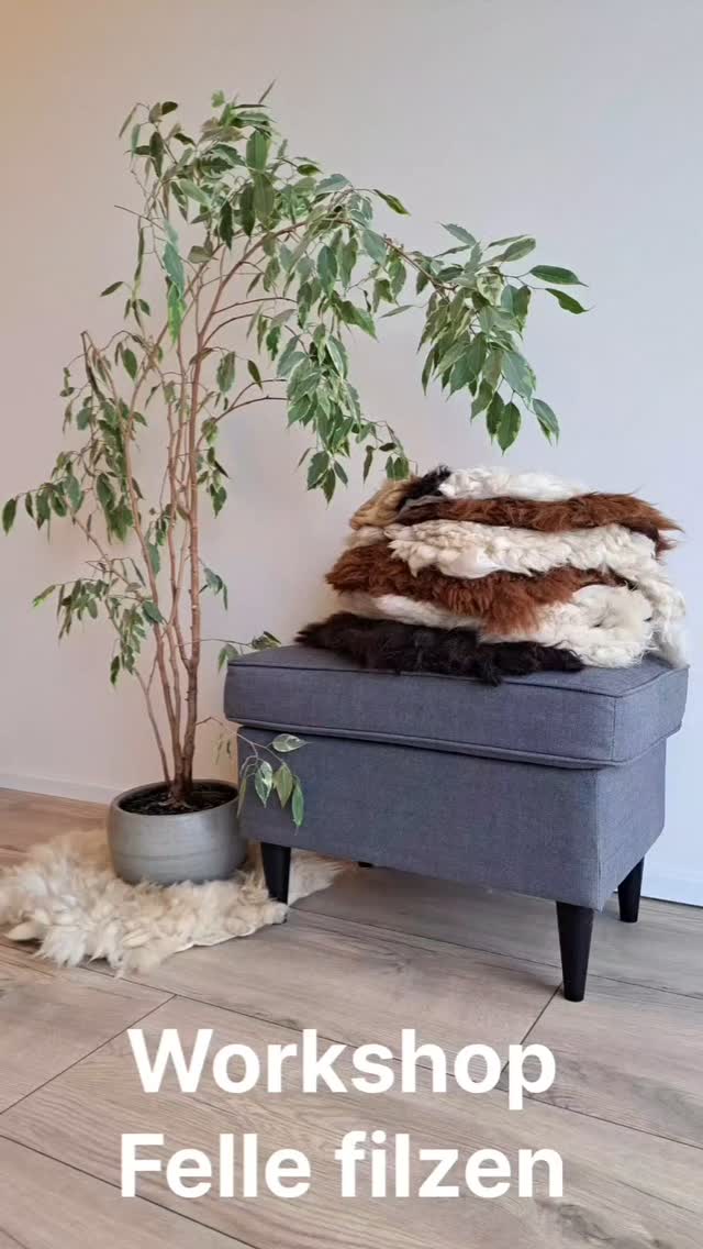 Ein wenig Alpakaplüsch für dein Zuhause. In unserem Workshop filzt du dir dein veganes Alpaka Sitzkissen aus der Schurwolle unserer Tiere. So schön warm und weich. Natürlich lernst du unsere Alpakas auch persönlich kennen. #alpacalove #Workshop