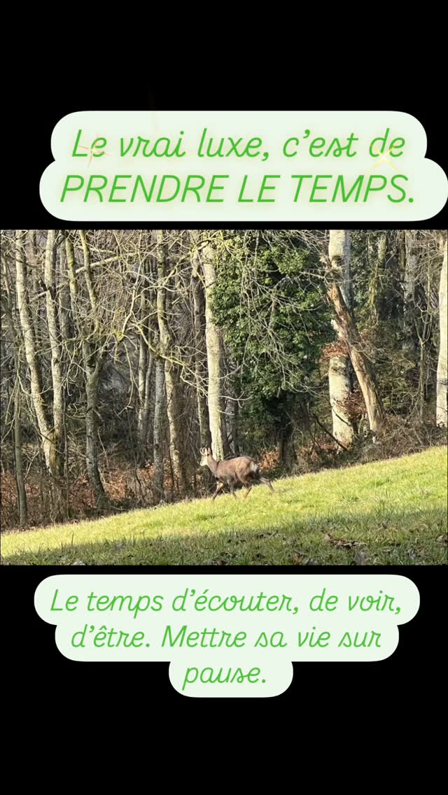 #tdah #adhd #santementale #mentalhealth