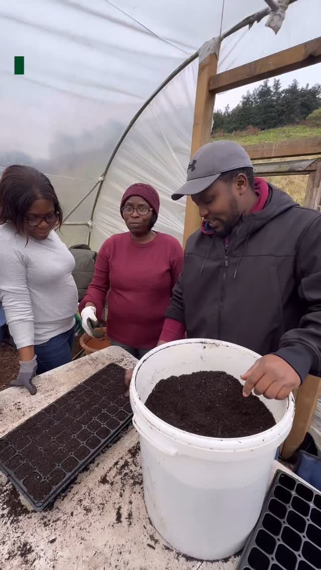 Sowing Seeds in Trays 🌱✨
When filling your seed trays, remember not to press the compost and sand down too hard. Keeping it light and airy allows roots to grow easily and ensures good drainage. Gently level the compost instead of compacting it—this helps air and water move through, giving your seeds the best start!
Our volunteers at the International Garden followed this method today as we sowed small seeds in trays. Now, we wait for those first tiny green shoots to appear! 🌿
Have you started planting yet? Let us know in the comments! 👇 #SeedSowing #GardeningTips #InternationalGarden #GrowYourOwn #corkmigrantcentre