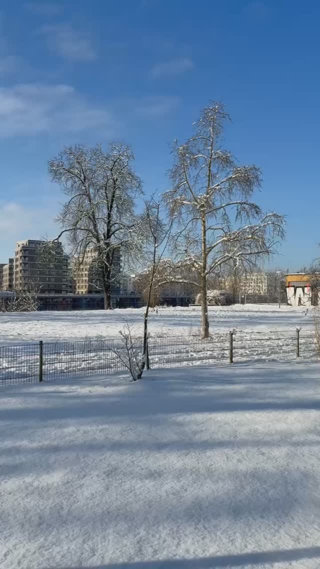 #winterwunderland #spielfeldberlin