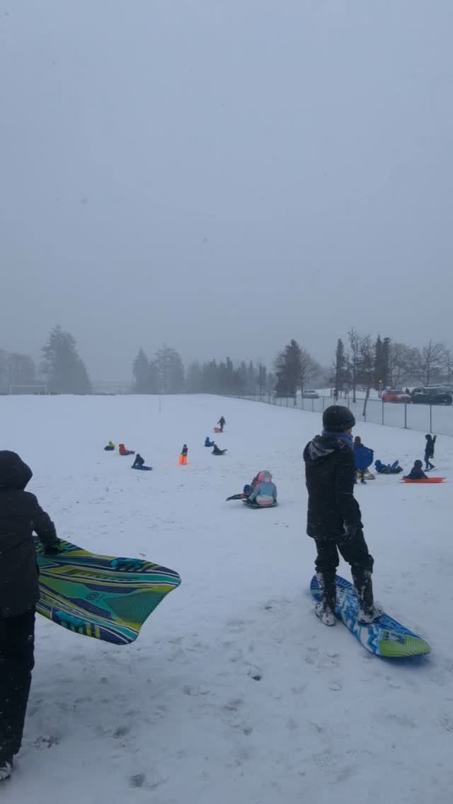 The magic of a snow day 🤍❄️