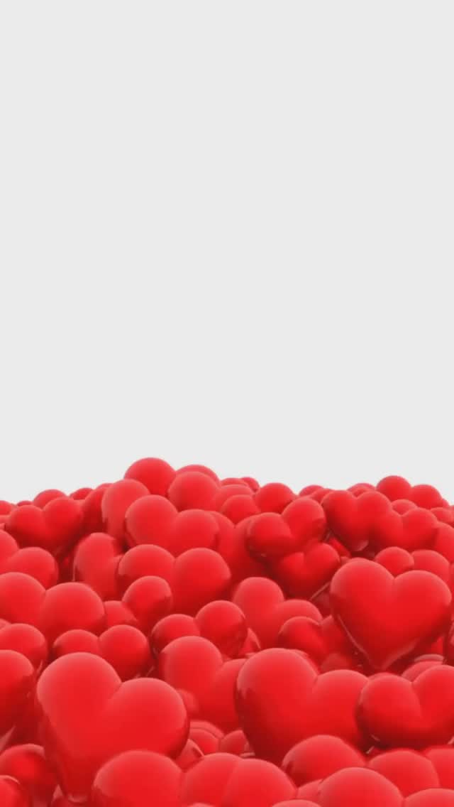 Happy Valentine’s Day to All!❣️💌
Whether you are a fighter, survivor or caregiver may today remind you that you are loved, supported, and surrounded by a community that cares and is rooting for you!
Wishing you moments of love, comfort, and hope. ❤️🎗️✨
•
•
•
#kfcf #strongertogether #kingfightscancerfoundation #love #hope #fighter #survivor