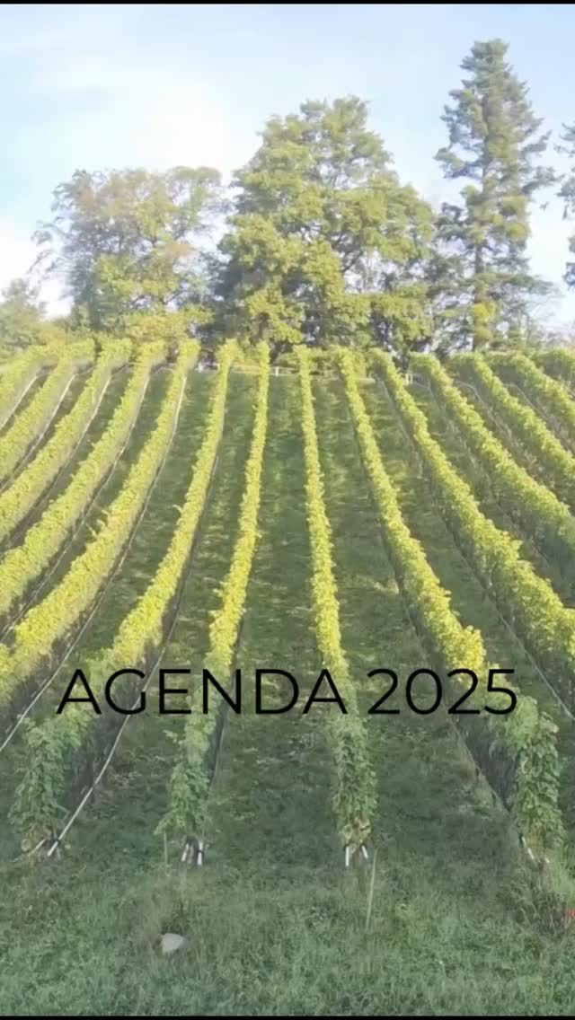 Agenda 2025🗓
.
03.+04.05.2025/ Tag der offenen Weinkeller/Seeburghof
-
17.05.2025/ Frühlingsapero/ Schiffstation Seeburg
-
22.11.2025/ Tag der Zentralschweizer Weine/ Kornschütte Luzern
-
06.12.2025/ Samichlaus/ Schiffstation Seeburg
.
SAVE THE DATE!
.
Wir freuen uns auf euch!🥳
.
.
.
.
.
.
.
#seeburghof #seeburghofladen #agenda #2025 #event #zentralschweiz #zentralschweizerweine #savethedate #lozärn