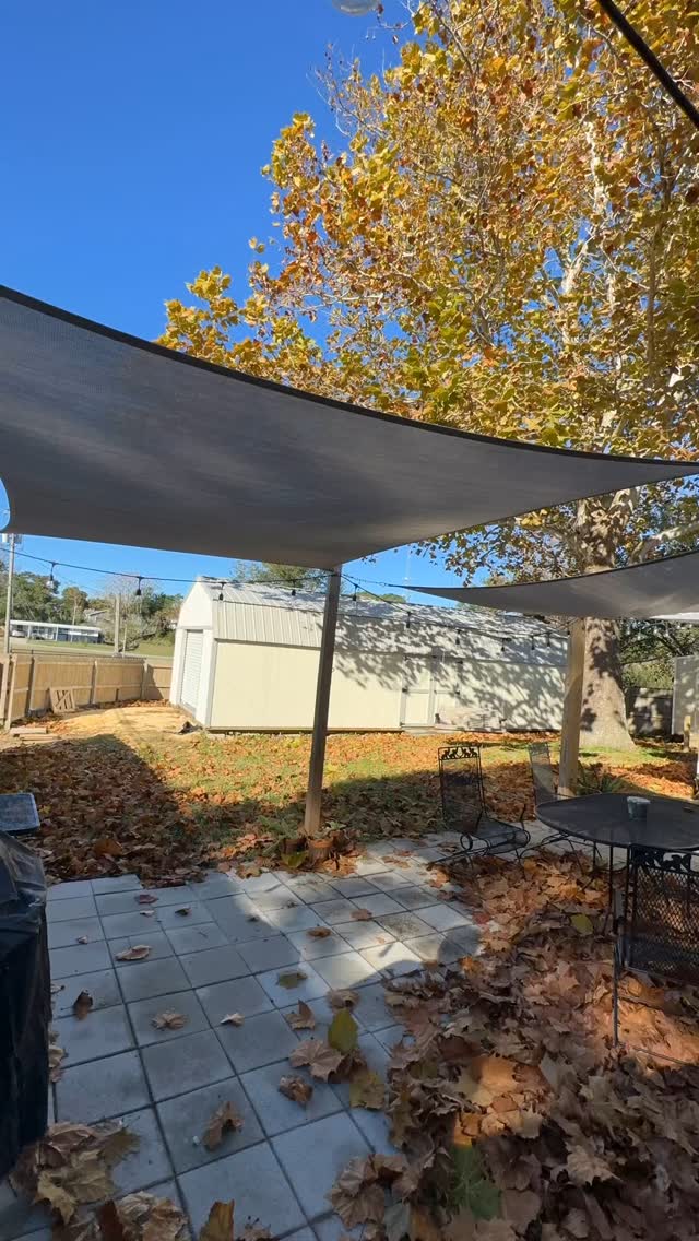 Satisfying leaf cleanup #timelapse