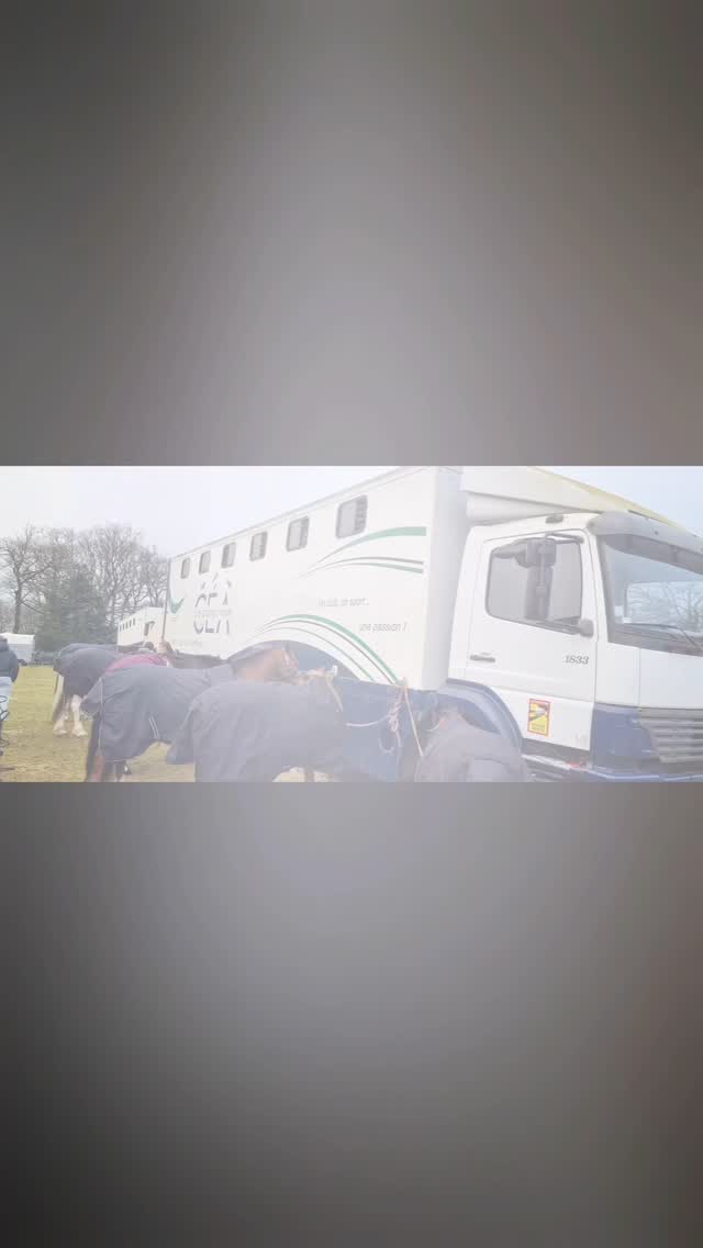 🏇Petit aperçu du CCE de Longvilliers du 9 février où nos cavaliers ont brillé :
🏆 Alexis et Volcano gagnent la PElite
🥈Alice et Mario sont 2è de la P1
🏆 Ambre et Hors Bord gagne la P2, Lyne et Gringo sont 8è
🥉Camille et Twist sont 3è de la P2 B
🏆Esther et Jalan gagne la P3
🏅Élise et Royce sont 8è de la Club 2
Merci au centre équestre du Moulin de La Forge pour l’organisation toujours au top.