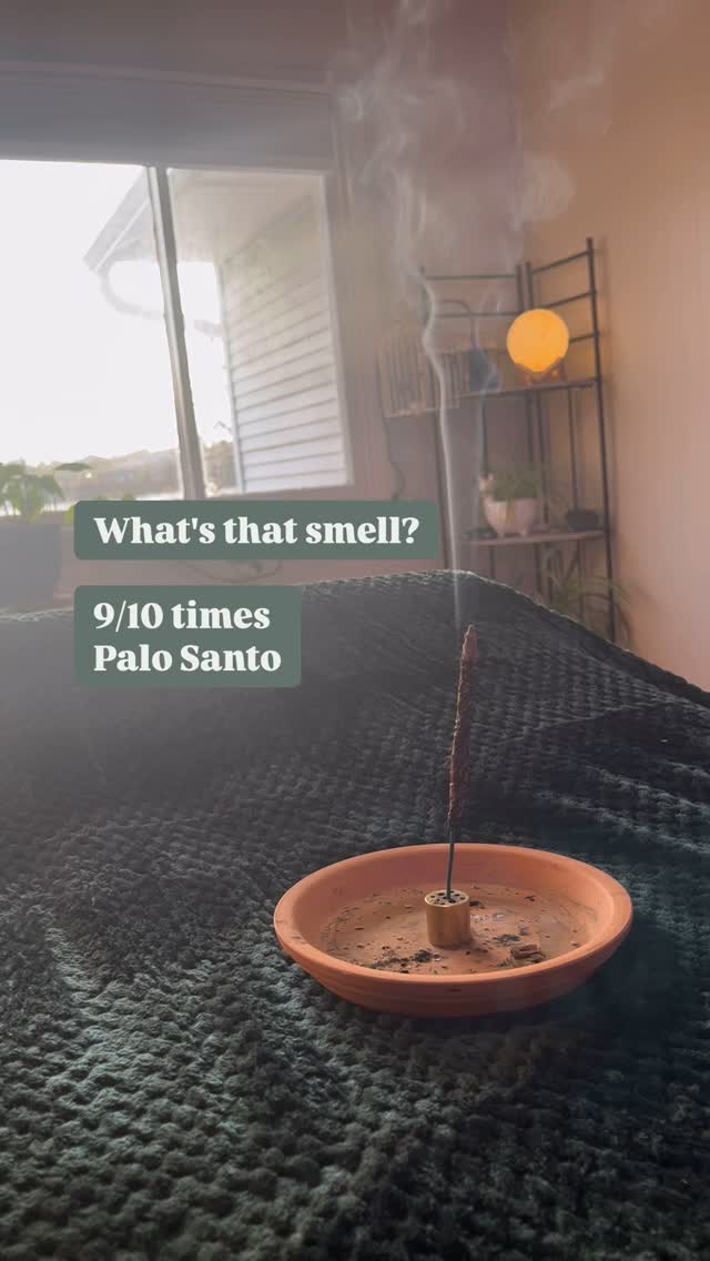 If it smells like church or yoga Kristin is burning incense. She uses it along with Reiki to cleanse the energy throughout the salon. 🧹🧼
#rochesterny #rochesternysalon #rochesternyhairstylist #explorerochesterny