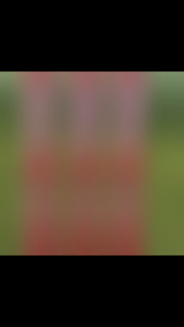 Peninsula Cricket Club held its 1st annual Pink Stumps Day raising nearly $4000 for the club and the #mcgrathfoundation .
It was so great to see our Home Ground of Kitchener with all the action from Cricket Blast to the 1st ever Girls match held outside it's traditional hub.
Great team effort.