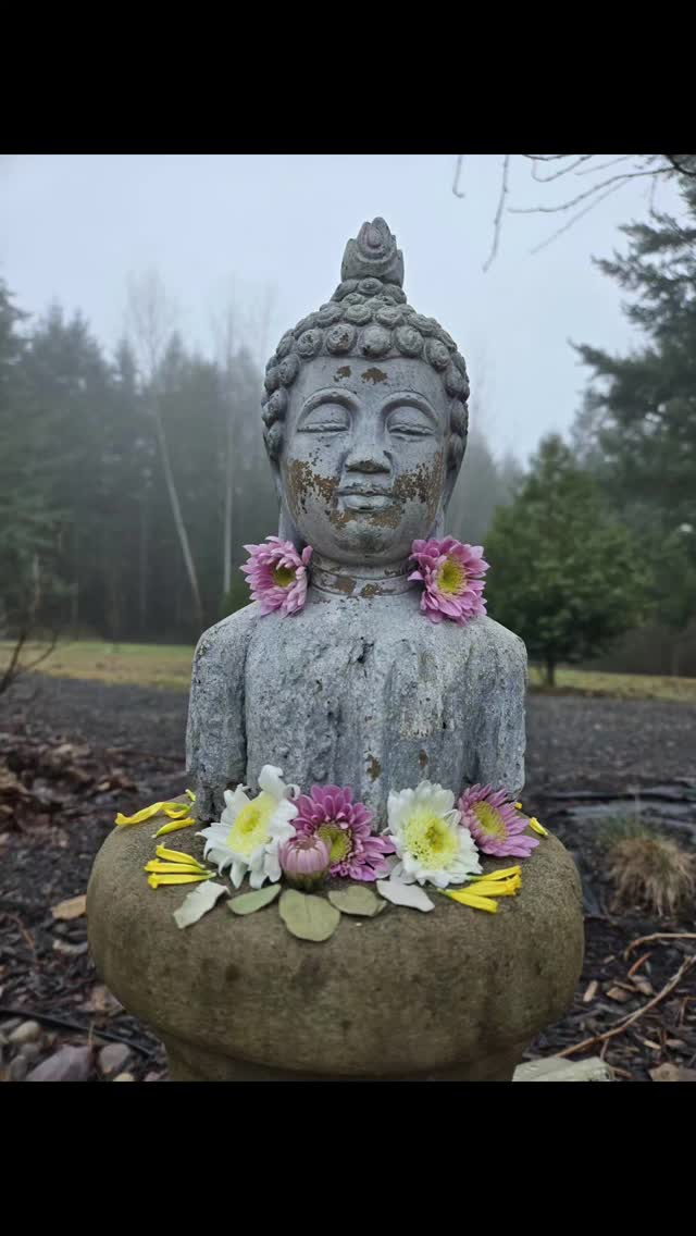 The Earth is my altar.
After a special event, I give back the flowers, water and ash from our burned prayers to her as an offering of gratitude to live in reciprocity for all that she offers us every single day while being open to the messengers all around me.
What ways do you like to give back to Mother Earth?