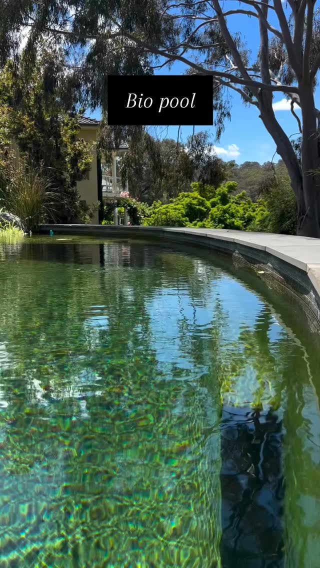 Bio pool look and feel beautiful.
Clear and clean water without any chemicals.