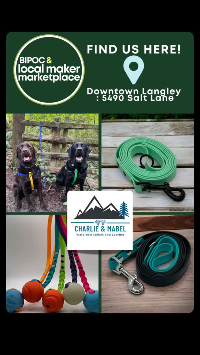 #biothane #yvrdogs #yvrdogsofinstagram #buylocalbc #petsoflangley #buylangleybc #langleycity #downtownlangley #downtownlangleybusinesses