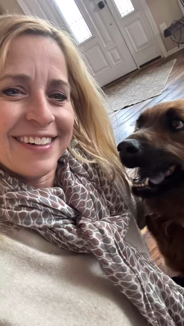 Happy National Love Your Pet Day!
❤️🐾❤️ Have you loved on your critter today?! 🥰
#loveyourpetday #furbabies #love #doglover #hooplatravel