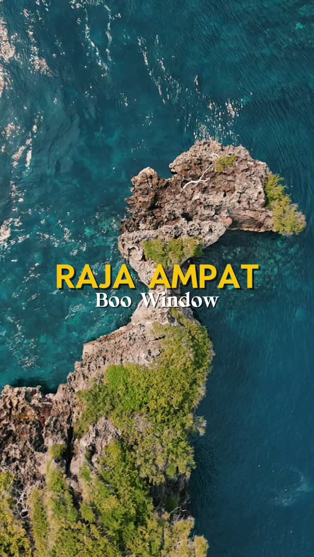 Diving Through Raja Ampat’s Famous Boo Window!
Ever swam through an underwater window? In the heart of Misool, Raja Ampat, Boo Window is a breathtaking dive site where nature carved two perfect swim-throughs into the reef!
Glide through these magical arches and get surrounded by vibrant coral, swirling schools of fish, rays, and the unreal blues of Raja Ampat. This place feels straight out of a dream!
#RajaAmpat #BooWindow #ScubaDiving #OceanLover #UnderwaterWorld #Misool #DiveIndonesia #BucketListAdventures