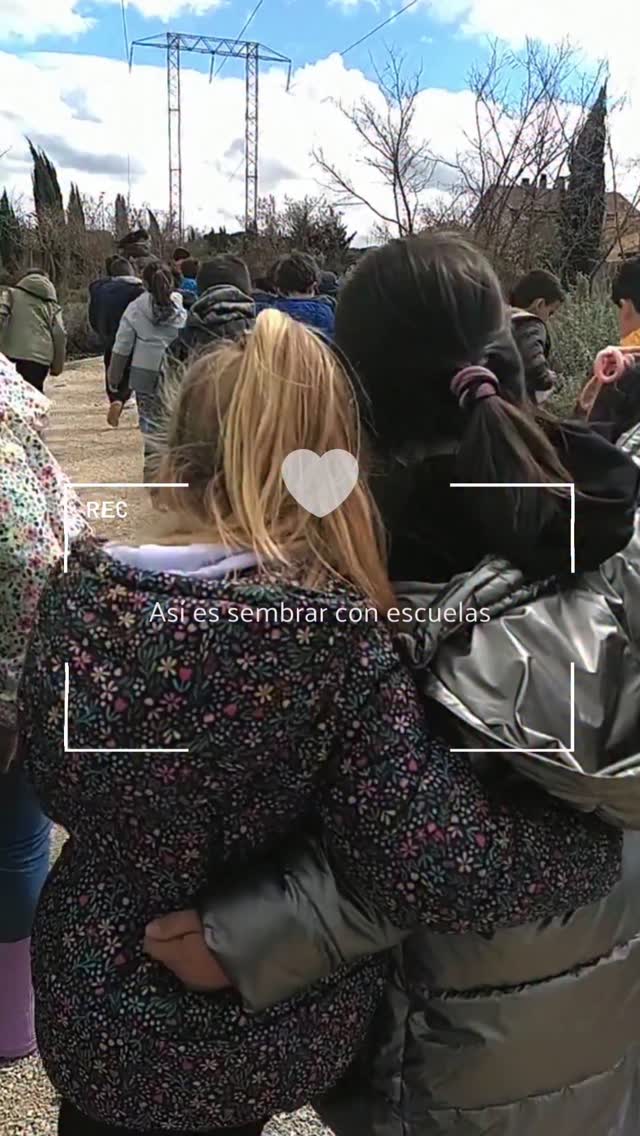 Plantar árboles con las nuevas generaciones 🌱💚
Entender que no existiríamos sin Bosques parece sencillo, pero cuando siempre han estado allí o simplemente no han estado jamás, ya lo hace más complicado.
Las plantaciones con escuelas siempre son maravillosas y la experiencia para l@s alumn@s también.
Plantar un árbol y verlo crecer a lo largo de la vida debería ser un objetivo normalizado por y para tod@s. Nosotras intentamos que así sea.
Si te apetece que sembremos con tus hij@s en su escuela ya sabes (DM) 😉.
#creadorasdebosques
#plantemoselfuturo
#elfuturoesahora