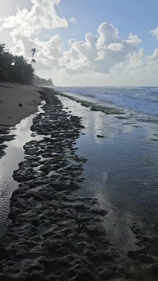 www.lotuslushskincare.com
hello, just sharing a bit of what we did during our small vacations!!!
having a small bussiness means you never have time for you so You have to be organized and know when to take that break