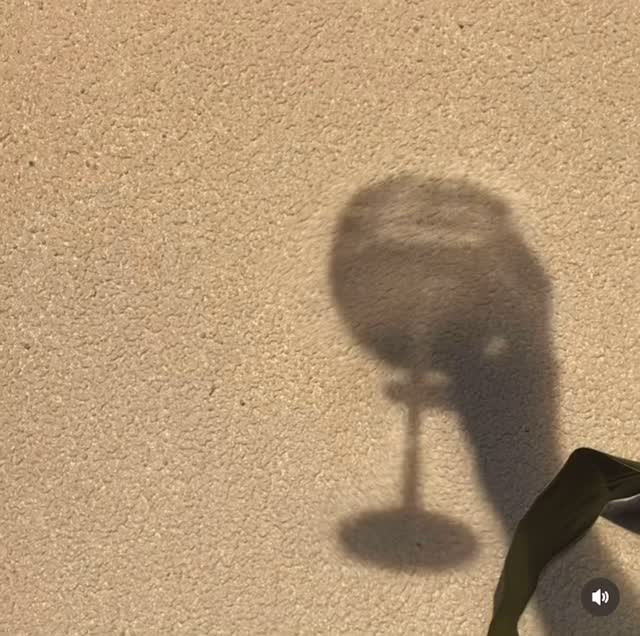 Et si on ce préparait pour cette été avec le comptoir d’Alfred !
🌞 Ombre d’un instant suspendu…
🍷 Quand la lumière caresse l’art du cocktail
🌿 Le Comptoir d’Alfred – souvenirs inoubliables !