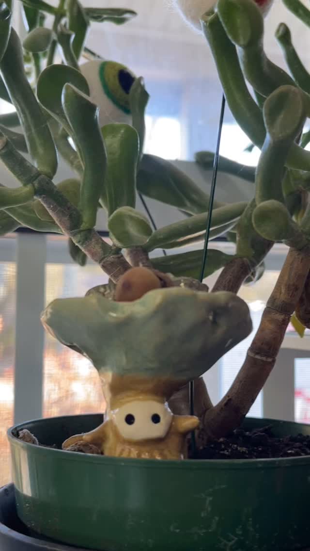 Kwarplings make perfect plant protectors. #kwarpling #ceramicguy #ceramicbuddy #plantbuddy #pottery #plants #acorn #foolsgold #pyrite #naturespirit