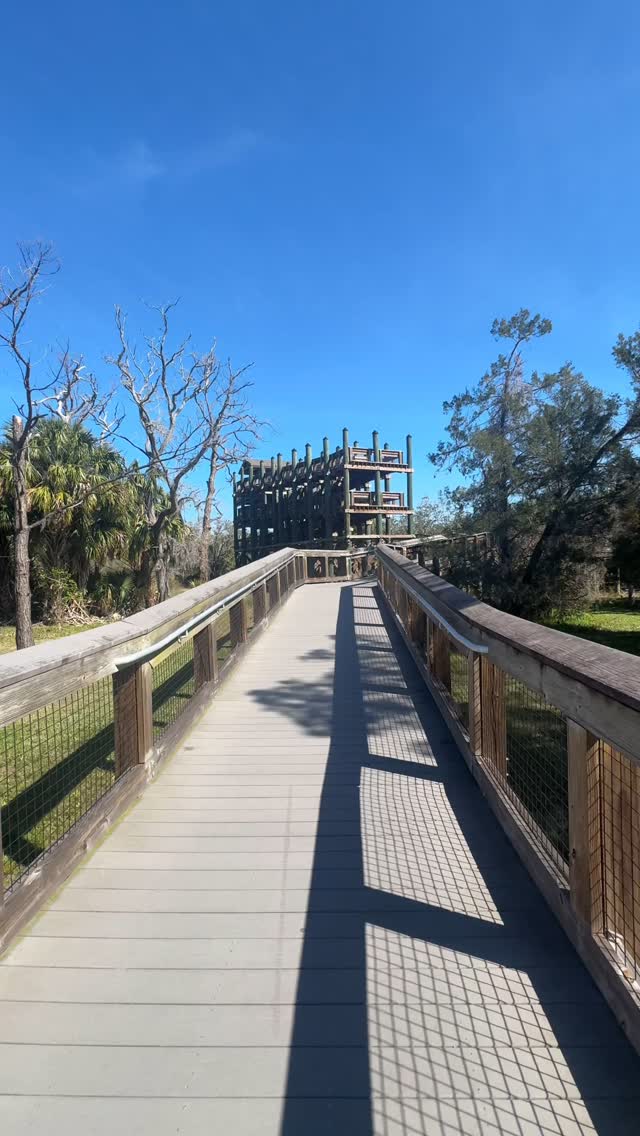 Step into nature’s paradise at Wall Springs Park! ✨🌳
🌊 Scenic boardwalks – Stroll through lush mangroves and take in breathtaking views of the intercoastal and the Gulf!
💦 Historic spring – Once a popular swimming spot, this natural spring dates back to the early 1900s! The park was used as a health spa, called Health Springs where some believed it could help with heart issues, and inflammation. (Unfortunately you can no longer swim here)
🏞️ Lookout tower – Climb to the top for stunning panoramic views of the surrounding waterways and wildlife.
🦋 Butterfly garden – A peaceful spot filled with beautiful plants, flowers, and fluttering butterflies.
🦅🐠 Wildlife sightings – From birds soaring overhead to fish swimming below, nature lovers will love this place.
🛝 Playground – A fun and spacious play area for kids to enjoy.
📚 Little free library – Grab a book or leave one behind at this charming community book exchange.
🚴♀️ Pinellas Trail access – Perfect for biking, running, or walking, with easy connections to other scenic spots.
You can even bike here straight from @driftwoodcottagepalmharbor and explore it all!! 🚴♀️🚴♂️
Who’s up for an adventure! What would be your favorite thing to see at Wall Springs!? 👇
•
•
•
•
#floridalife #floridaparks #floridanaturephotography #thingstodo #florida #parks