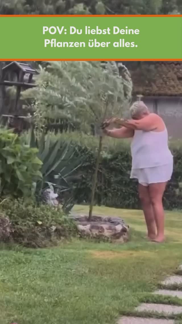 Bald kommt der Frühling🧡💚
#saatgut #pflanzen #garten #gartenliebe #frühling #pov #bio #regional #zweihnachtskugel #zwosterei #rething