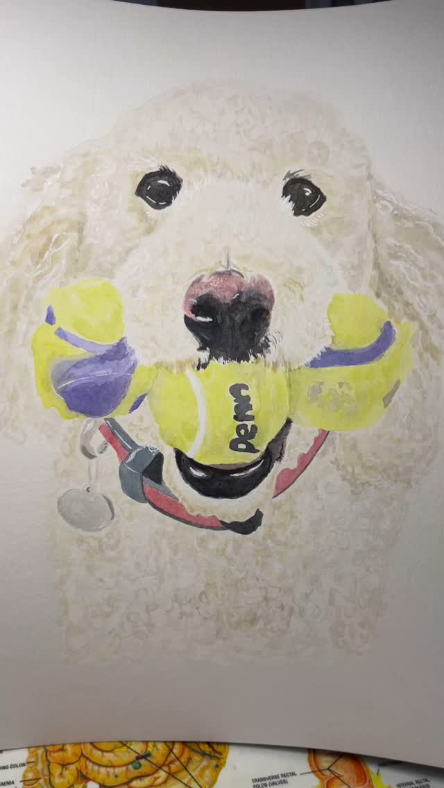 Pet portrait commissions are OPEN! Only 1 order in my lineup at this time. Get ahead of those holiday/ birthday/ mother and Father’s Day gift shopping. 🛍️ #petportrait #animalart #petcommission #petportraits #petportraitartist #giftidea