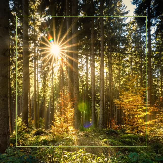 🌸 V R O E G E V O O R J A A R S V O O R D E E L 🌸 @ Mille Fleurs Apartments
Soon spring will come. We all feel like going out: walking shoes on, bike out of the shed. Perfect time to get to know the Voer-region in all its facets.
ENJOY A 10% DISCOUNT ON OUR UNIQUE APARTMENTS IN THE BELGIAN VOERS REGION IN MARCH AND APRIL
👉 For more information, visit www.millefleurs.be
Nog even en dan breekt de lente weer aan. We krijgen allemaal weer zin om er op uit te trekken, wandelschoenen aan, de fiets uit de schuur.
Perfecte tijd om de Voerstreek in al zijn facetten te verkennen.
GENIET IN MAART EN APRIL VAN 10% KORTING OP ONZE UNIEKE APPARTEMENTEN IN DE BELGISCHE VOERSTREEK
👉 Kijk voor meer info op www.millefleurs.be
#springpromo #springishere #whataview #beautifullandscape #naturelover #natuur #voeren #limburg #voerstreek #wandelen #hiking #millefleurs #appartementhuren #vakantiehuis #vacation #rent #apartment #rentapartment #vlaanderenvakantieland #ilovelimburg #vakantieineigenland #sintpietersvoeren #altijdlimburg #belgium #visitlimburg #wanderlust #bronnenwandeling #wandelparadijs