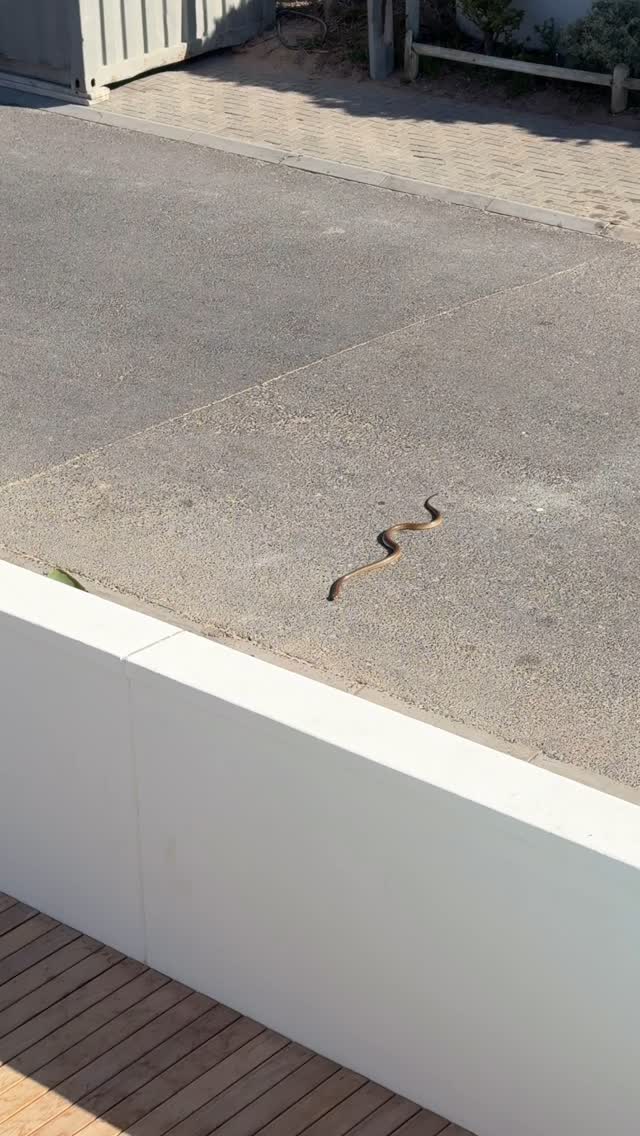 Is this one dangerous?