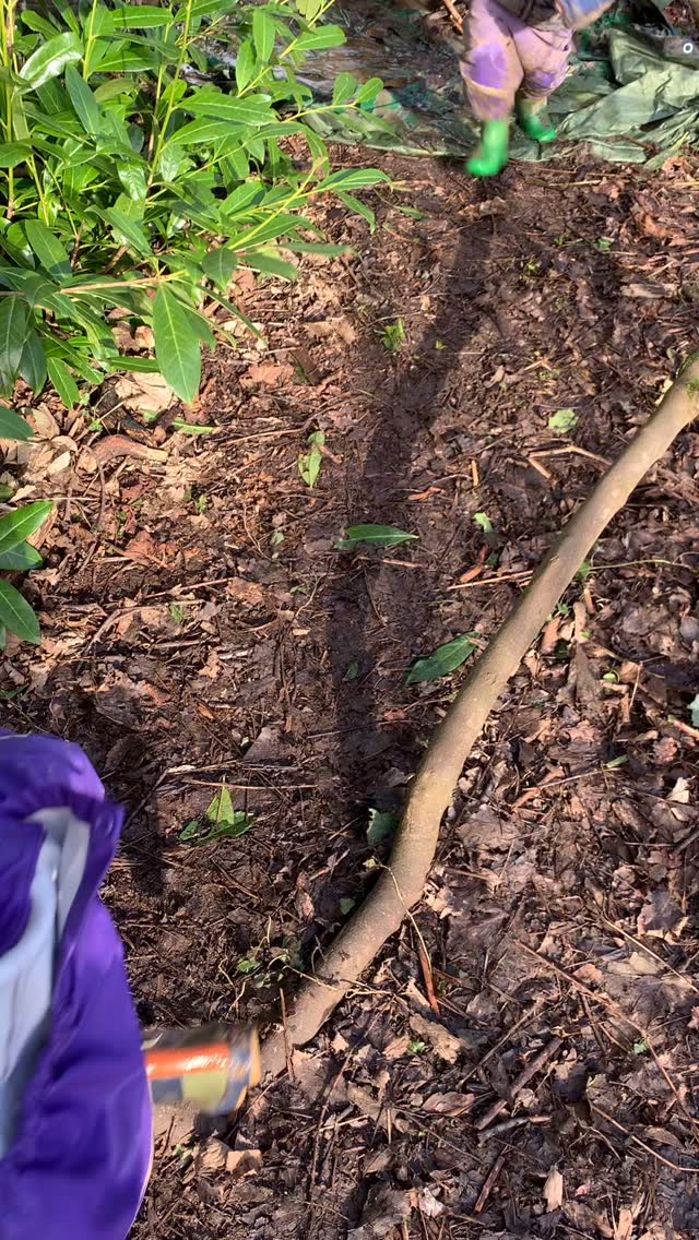 Why outside play is SO important for our children π³ βοΈ #outdoorplay #preschool #naturepreschool #gooutside #vitamind #playoutdoors #butterfliespreschool