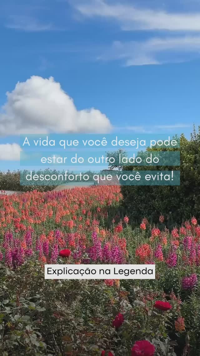 Muitas vezes, evitamos o desconforto porque parece mais seguro, mas a longo prazo, essa evitação nos aprisiona em um ciclo de ansiedade e padrões insatisfatórios, nos afastando do que realmente queríamos. Quando fugimos de situações difíceis, reforçamos o medo e enfraquecemos nossa confiança, o que pode aumentar o estresse emocional e reforçar a crença de que não somos capazes de superar situações difíceis.
💡 Solução: Em vez de evitar, experimente encarar o desconforto aos poucos. Se pergunte: “O que essa situação me ensina?” “O que posso fazer que me pareça menos difícil de encarar no momento?” Pequenos enfrentamentos diários fortalecem sua resiliência e te aproximam da vida que deseja viver. 🌻💖
.
#SaúdeMental #Autoconhecimento #Psicologia #terapiasistêmica