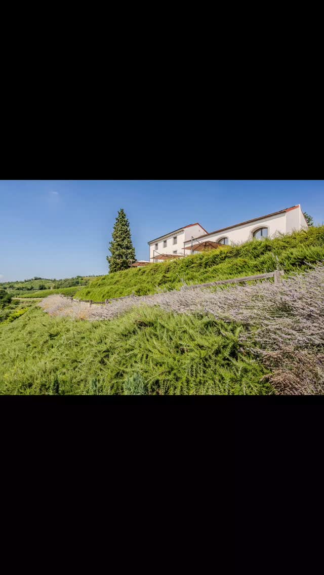 #monferratounesco #monferrato_delights #holiday #vacation #travel #italia #placestostay