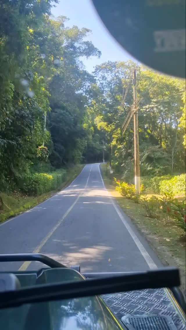 Cachoeira do Saco Bravo! 2 dias 🤩
1° Dia - Visitando a Praia do Sono, Praia dos Antigos, Antiguinhos e cachoeira das Galhetas. DOrmindo na Vila da Ponta Negra com um jantar delicioso na beira do Mar.
2° Dia - Caminhada até a Cachoeira do Saco Bravo, retorno para Ponta Negra e muito banho de mar. Retorno fim do dia de barco até Laranjeiras.
Muita Natureza, Diversão e Cultura Caiçara!
#paraty #natureza #mtur #abeta #pontanegraparaty
