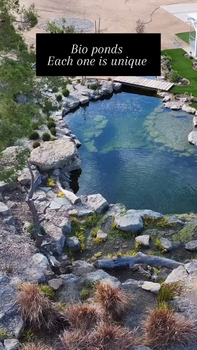 Bio ponds are custom designed and built. Each bio pond is unique and blends with the surroundings.
Why have a normal swimming pool when you can have a unique bio pond to swim in.