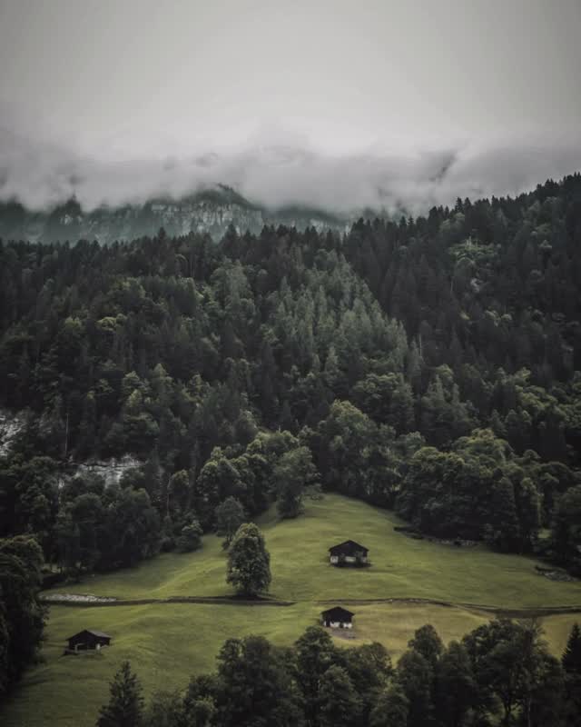 Vous êtes propriétaire d’un terrain ? GARON SA vous propose une collaboration unique pour réaliser des projets immobiliers rentables.
Collaboration sur mesure : La valeur de votre terrain est intégrée comme investissement dans le projet. Un contrat de collaboration clair est signé pour garantir vos intérêts.
Participation aux bénéfices : À la fin de la construction et de la vente de l’objet fini, vous recevez une somme équivalente à la valeur de votre terrain, ainsi qu’un pourcentage des bénéfices basé sur votre contribution proportionnelle au coût total du projet.
Transformez la valeur de votre terrain en un investissement rentable et sécurisé avec GARON SA.
#CollaborationImmobilière #PropriétairesFonniers #InvestissementRentable #GaronSA #ImmobilierSuisse