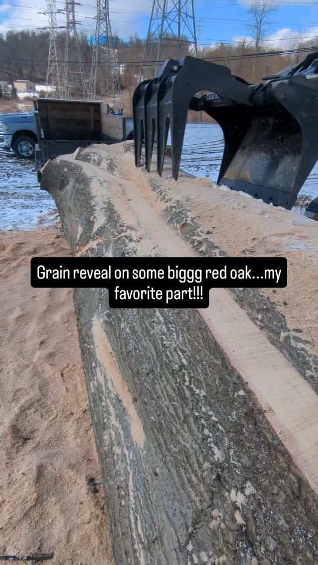 Grain reveal!!! #liveedgeslabs #treeservice #treeremoval #treepruning #stumpgrinding