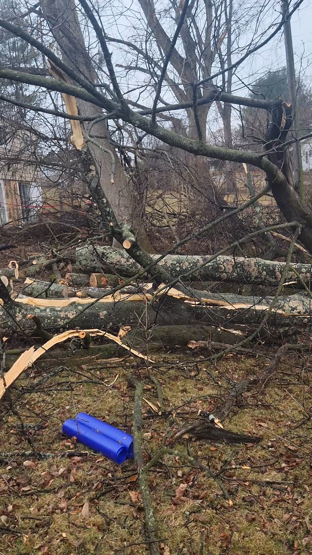 You never know when the bees will need you! After being exposed for over a week I had to get them moved today!!!
#beekeeping #honeybees