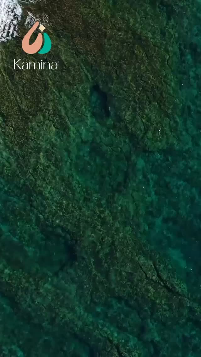 ✨Paz Mental
“El espacio sereno dentro de ti donde los ruidos del mundo exterior se apagan y las preocupaciones pierden peso. Es un estado de equilibrio donde la mente y el corazón encuentran armonía, permitiendo que el presente se viva sin cargas del pasado, ni ansiedad por el futuro . Es un refugio personal que se construye con aceptación, gratitud y la capacidad de soltar lo que no se puede controlar “
#coachingholistico #gestionemocional #emociones #coachingsesiones #autoconocimiento