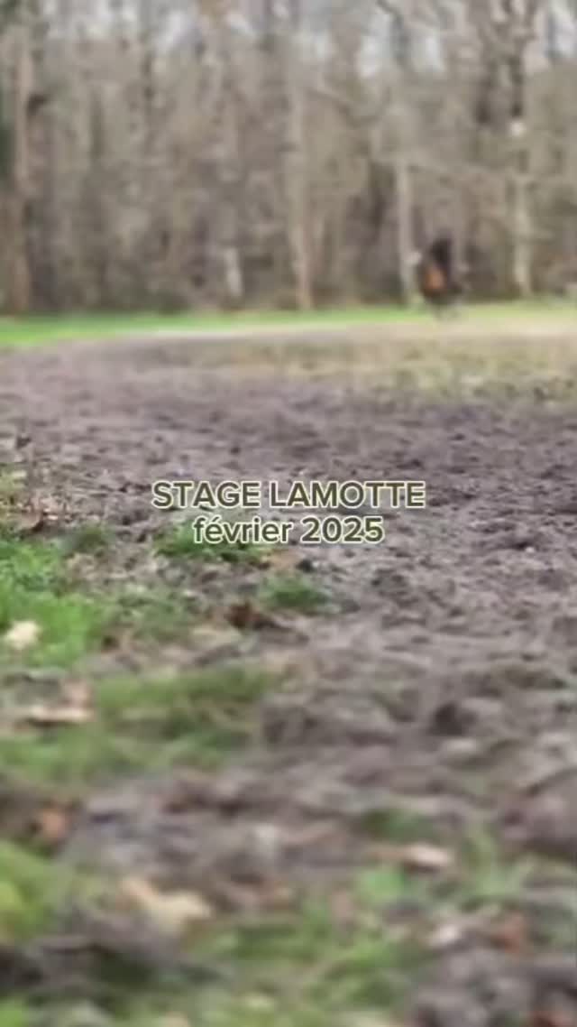 🔸Cette semaine nos Cavaliers CSO et loisirs galop 4 ont passé une semaine de stage en pension complète au Parc Equestre Fédéral de Lamotte-Beuvron. Ils ont profité des magnifiques installations du site, pour pratiquer diverses activités équestre : Dressage, TREC, pony-games , CSO, Cross, Piste de galop… Une très belle semaine bien remplie 😊