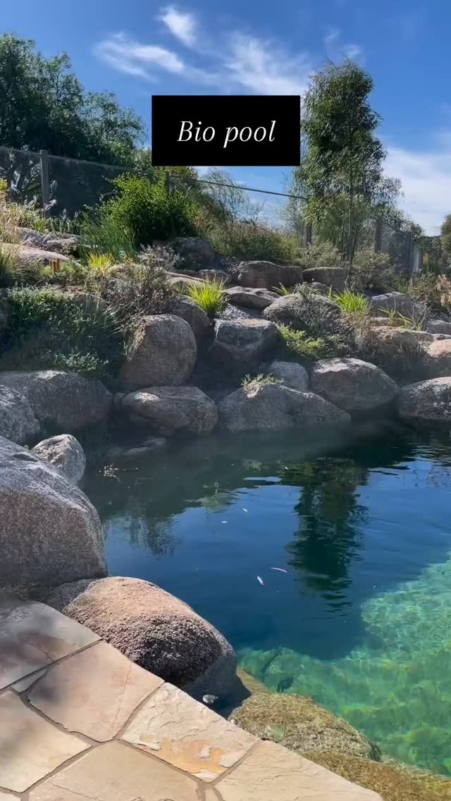 Question 2 - will there be harmful pathogens in the water?
The continuous water circulation and the uv filters bakes the bio pool water safe and without any harmful pathogens/organisms
Credit - @samcoxlandscape @naturalpoolsaus