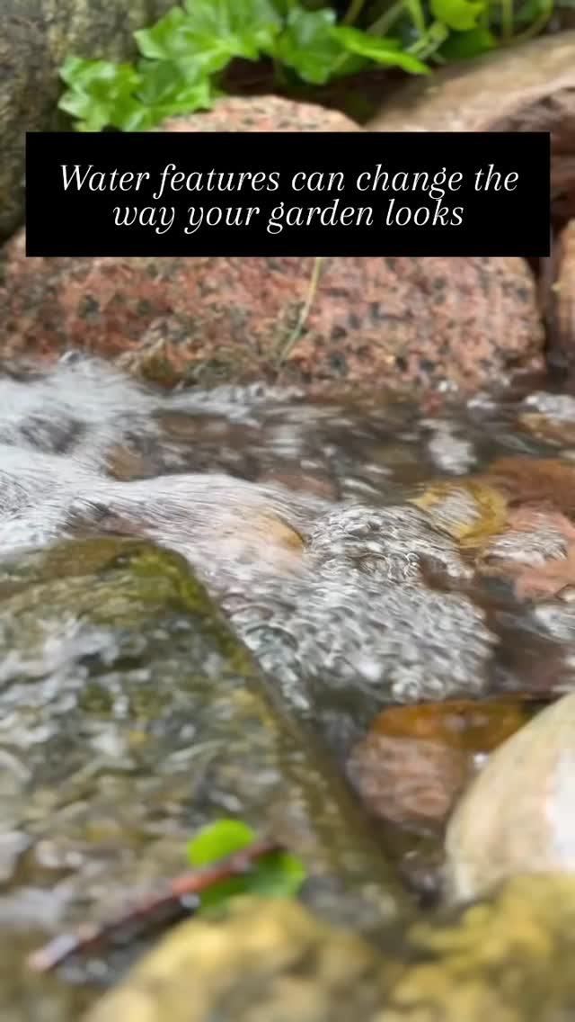 Add a water element to your garden to make it more interactive and unique
