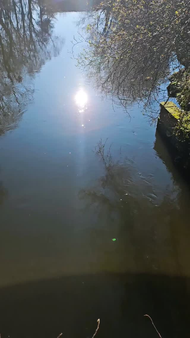 What a beautiful day! 😀
#aylsham #beautiful #northnorfolk #beautifulday #norfolkcomms #northnorfolkhomes #wifi #northnorfolkcommunity #walks #riverbure #sunshine #sun #springiscoming #spring #vitamind #wellbeing #millhouse #river