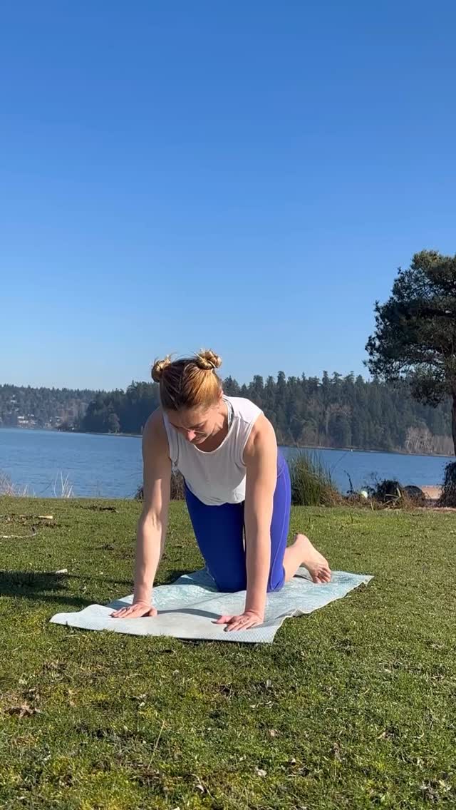 I want to talk about modifying moves to be good for your particular body. Most of the stuff that we do in the gym is very modifiable. Alternating plank can be a fairly approachable move from hands and knees or a fairly advanced move from a wide plank stance. Anything that moves plank around challenges are balance and our ability to keep our core tight and good structure in our bodies. Try adding this contralateral plank extension to your workouts!
#columbiacityseattle #personaltrainer #goodmovement #plankchallenge #planks #contralateralmovement #goodcoreworkout #workingoutoutside