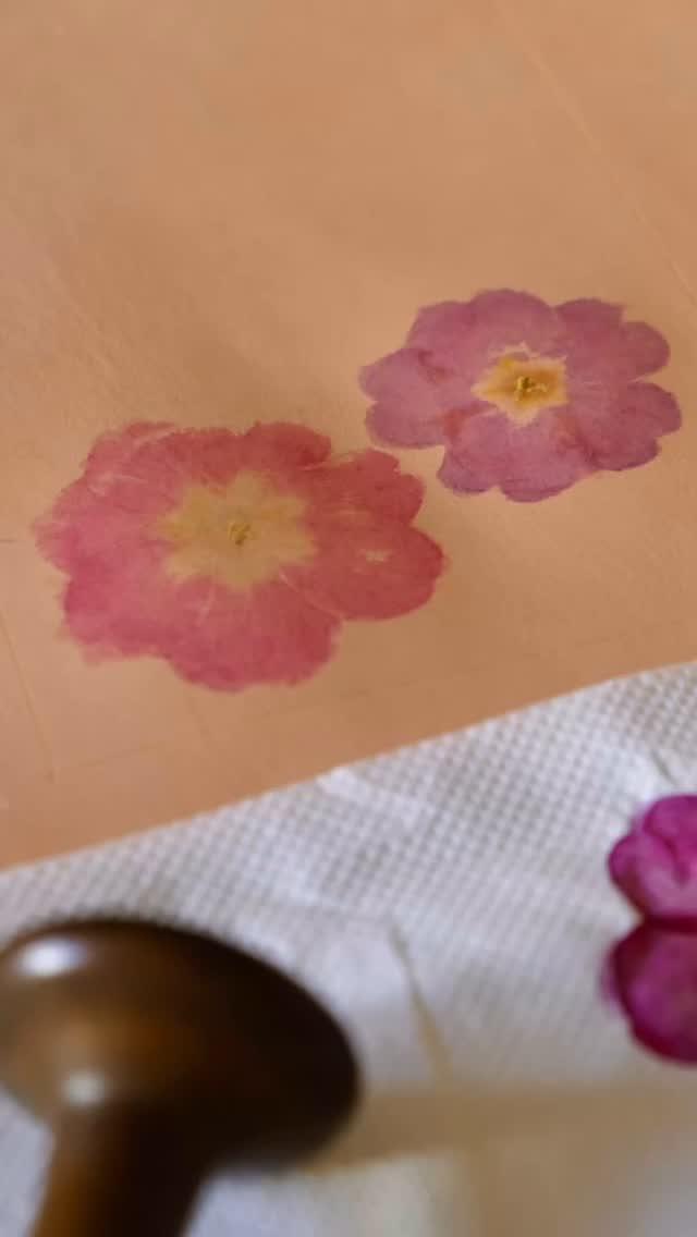 Sezónnu ponuku plnú kvetov som pripravila aj tento rok 🌺 🤩 Reálny pigment z kvetu na obľúbenej peňaženke opäť dostupný v mojej galérii na sashe 🙂
#autorskavyroba #ekoprint #motivkvety #kozenavyroba #prirodnypigment #zozakulisia #procesvyroby #rucnavyroba #sezonnaponuka