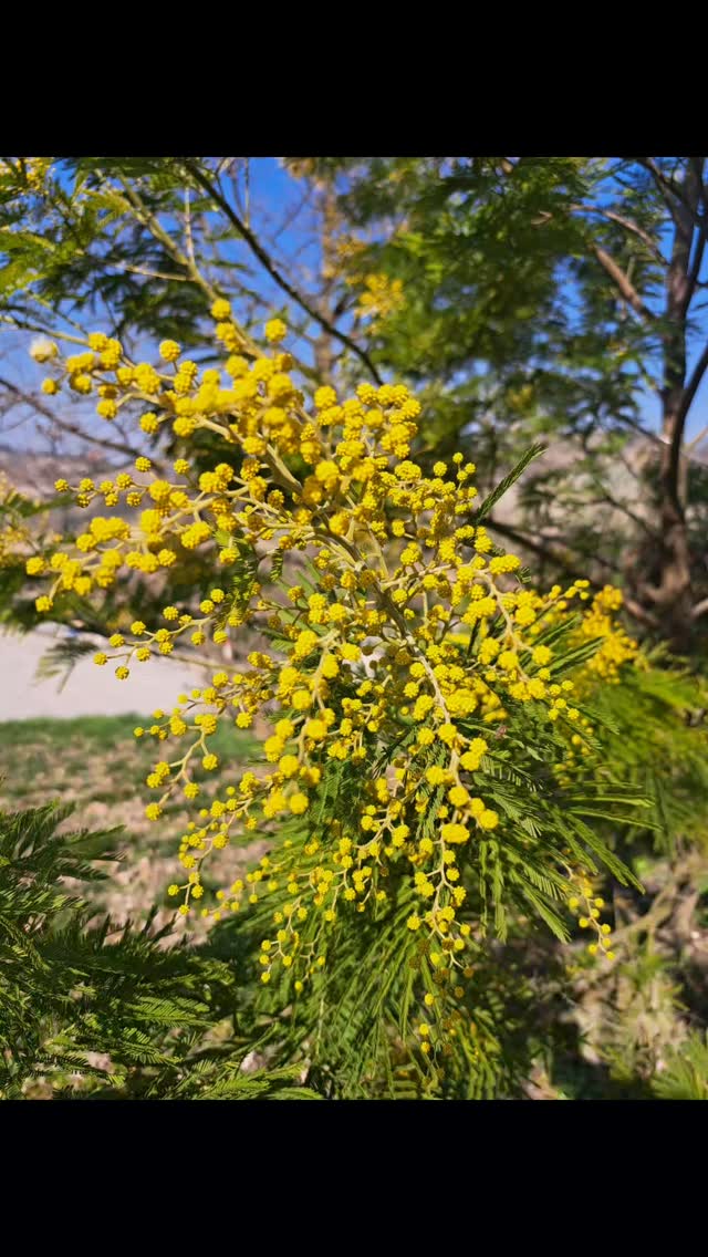 Happy International women's Day! See our website for best March and April price offers.
#spring
#monferratounesco
#monferratotourist
#italytravel